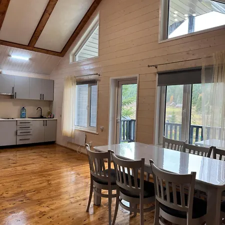 Holiday home карпатський затишок Senechiv