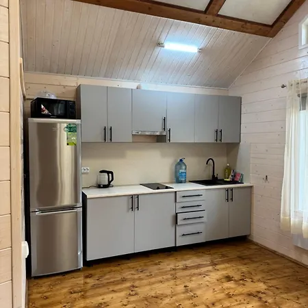 Holiday home карпатський затишок Senechiv