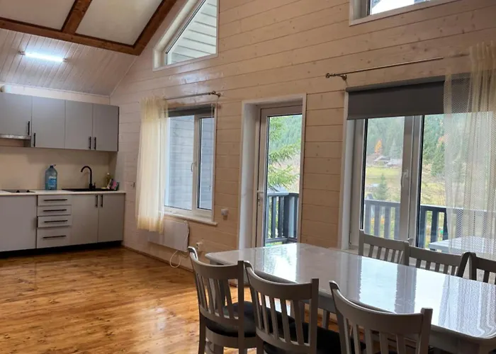 Holiday home карпатський затишок Senechiv