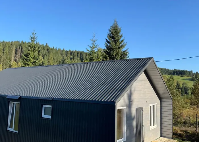 Holiday home карпатський затишок Senechiv
