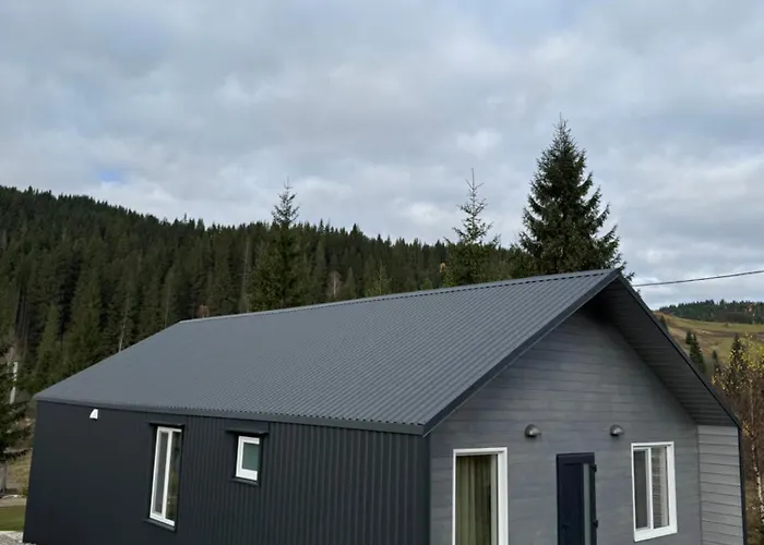 карпатський затишок Holiday home Senechiv